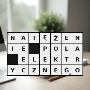 Rozwiązanie krzyżówki: wektorowa wielkość fizyczna charakteryzująca pole elektryczne - natężenie pola elektrycznego | hasła, synonimy i podpowiedzi Hasło krzyżówkowe wektorowa wielkość fizyczna charakteryzująca pole elektryczne - natężenie pola elektrycznego – rozwiązanie, synonimy, podpowiedzi i definicje krzyżówkowe